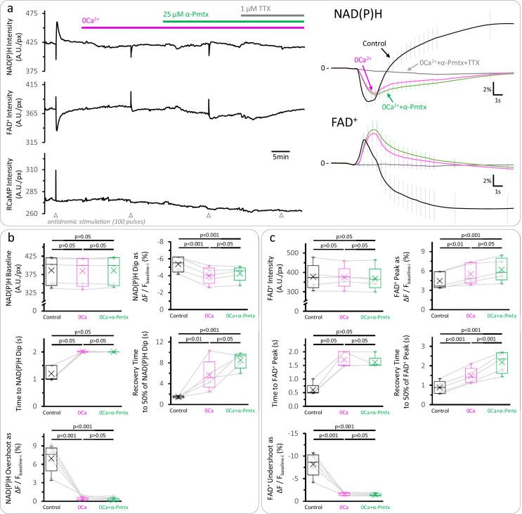 https://cdn.ncbi.nlm.nih.gov/pmc/blobs/fbfc/7870136/9b53e6f159b1/elife-64821-fig6-figsupp2.jpg