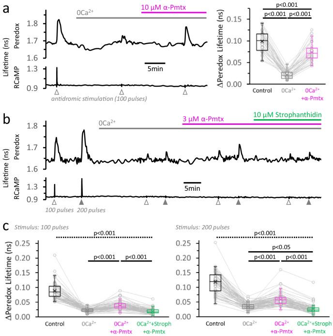 https://cdn.ncbi.nlm.nih.gov/pmc/blobs/fbfc/7870136/de05933fbfb5/elife-64821-fig6.jpg