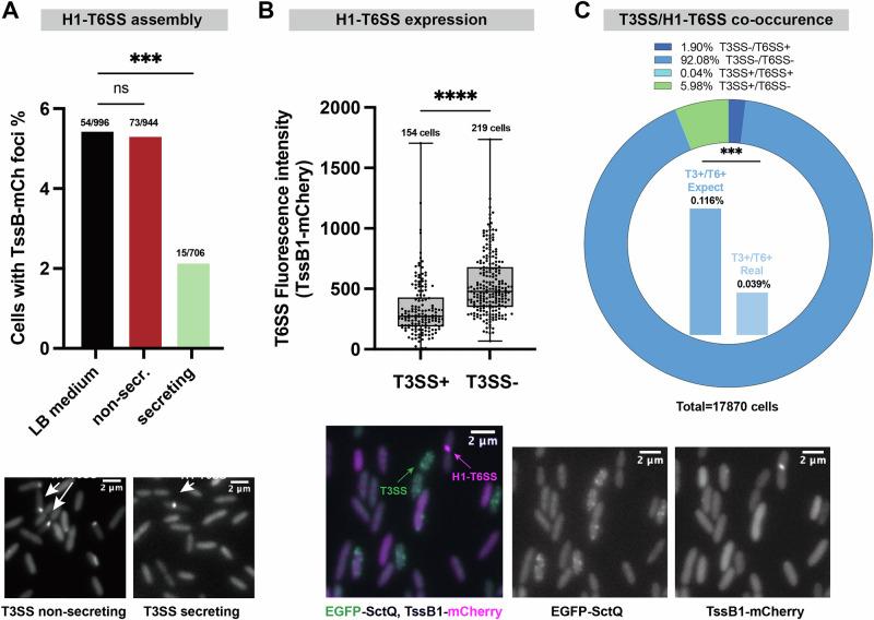 https://cdn.ncbi.nlm.nih.gov/pmc/blobs/fc10/12357884/cfe5aab24ae9/42003_2025_8693_Fig4_HTML.jpg