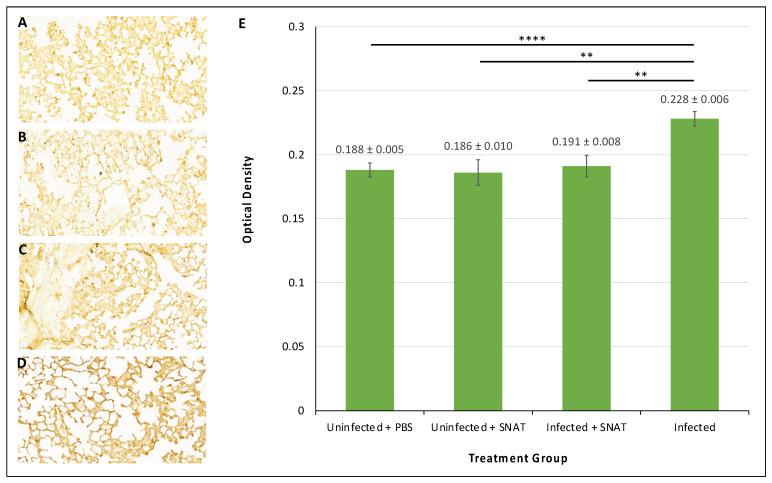 https://cdn.ncbi.nlm.nih.gov/pmc/blobs/fc20/11280845/ff47370900b5/toxics-12-00495-g007.jpg