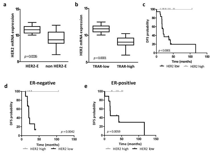 https://cdn.ncbi.nlm.nih.gov/pmc/blobs/fc44/9688101/357649a2a891/cancers-14-05650-g001.jpg