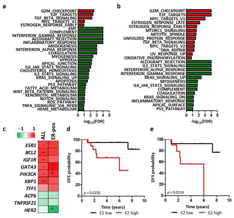 https://cdn.ncbi.nlm.nih.gov/pmc/blobs/fc44/9688101/40689fe641b6/cancers-14-05650-g006.jpg