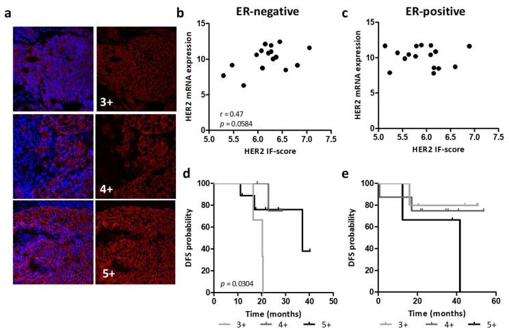 https://cdn.ncbi.nlm.nih.gov/pmc/blobs/fc44/9688101/763258f46fee/cancers-14-05650-g002.jpg
