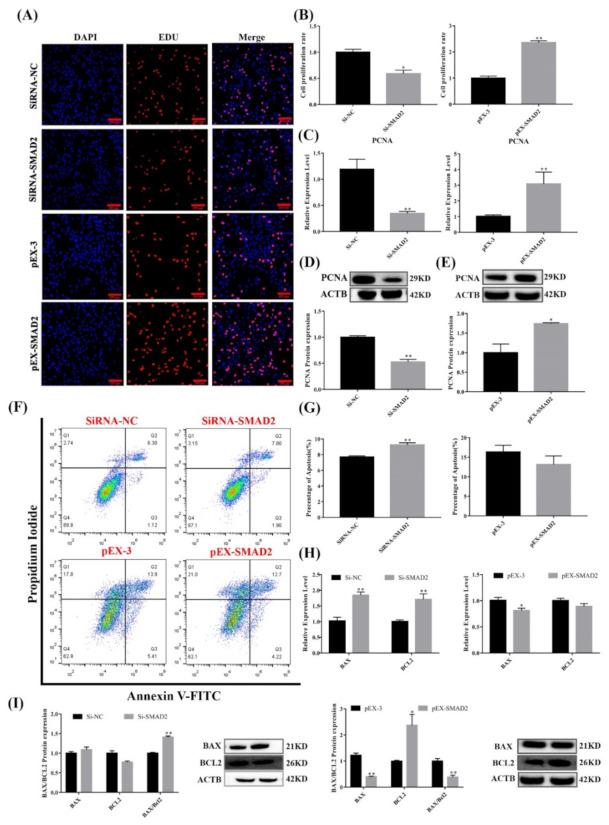 https://cdn.ncbi.nlm.nih.gov/pmc/blobs/fc54/8947352/050bd9745fa7/cells-11-00985-g007.jpg