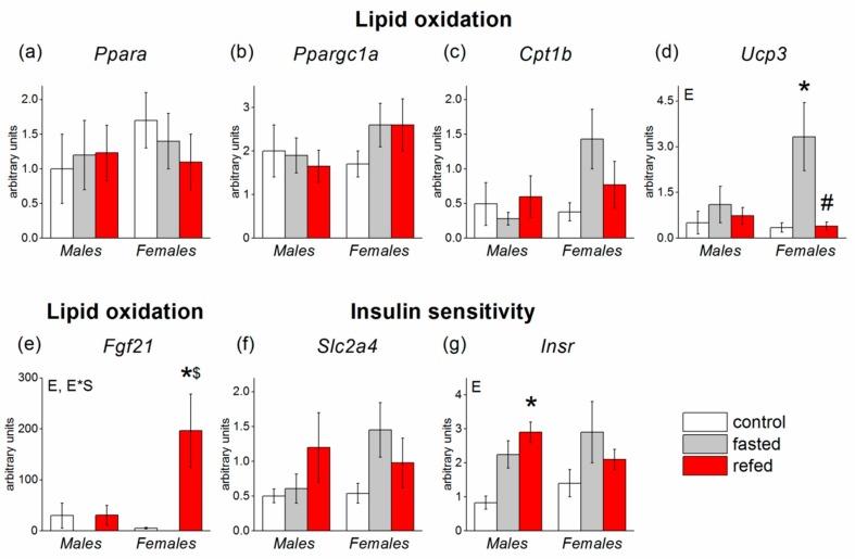 https://cdn.ncbi.nlm.nih.gov/pmc/blobs/fc7e/6953068/046ea4d55c37/cells-08-01529-g007.jpg