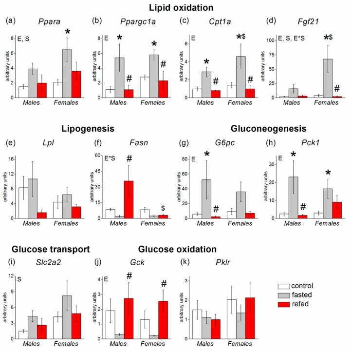 https://cdn.ncbi.nlm.nih.gov/pmc/blobs/fc7e/6953068/3f62152bbc5b/cells-08-01529-g003.jpg