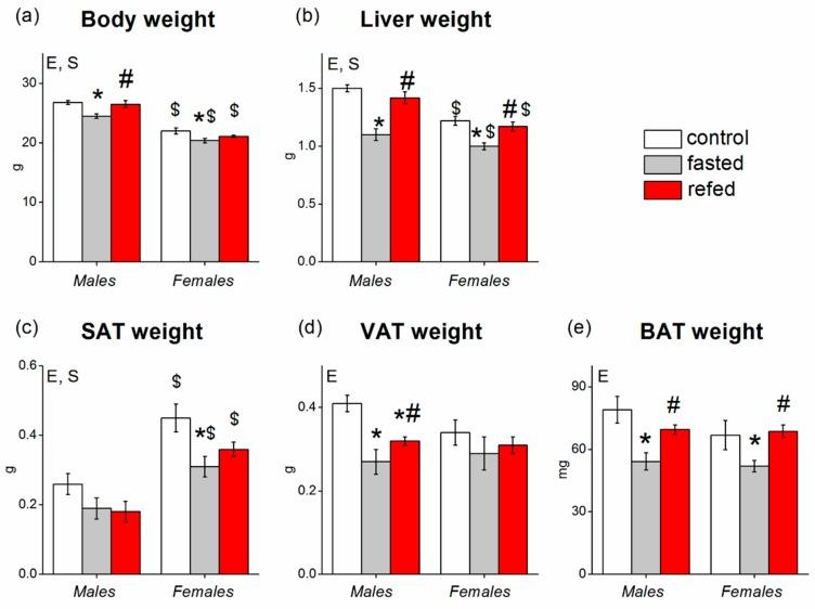 https://cdn.ncbi.nlm.nih.gov/pmc/blobs/fc7e/6953068/9afdfd6b89c8/cells-08-01529-g001.jpg