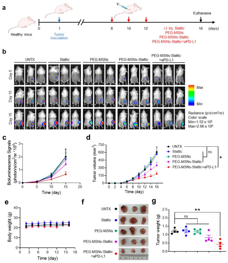 https://cdn.ncbi.nlm.nih.gov/pmc/blobs/fca7/11173511/c97f1e7e2524/molecules-29-02436-g003.jpg