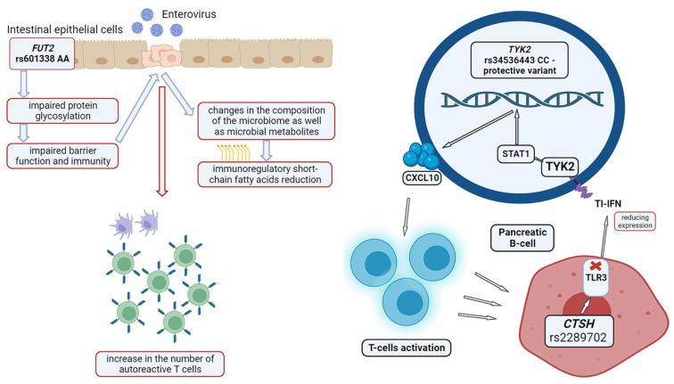 https://cdn.ncbi.nlm.nih.gov/pmc/blobs/fca8/10886892/b985a838bdad/biomedicines-12-00399-g002.jpg