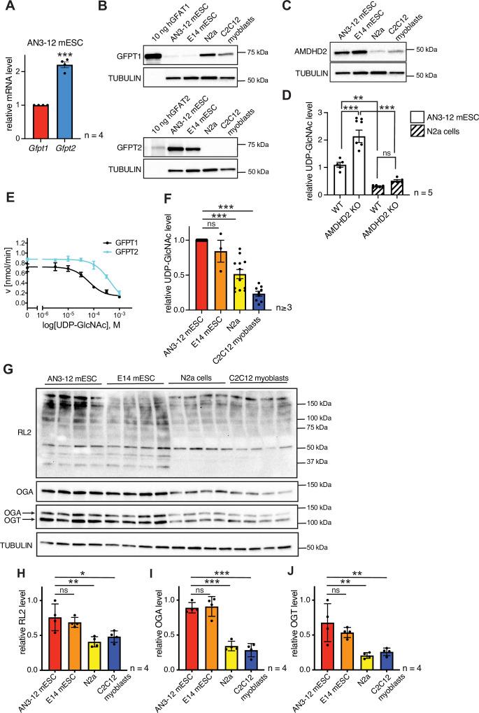 https://cdn.ncbi.nlm.nih.gov/pmc/blobs/fcb0/8970586/4fd50509a7bf/elife-69223-fig5.jpg