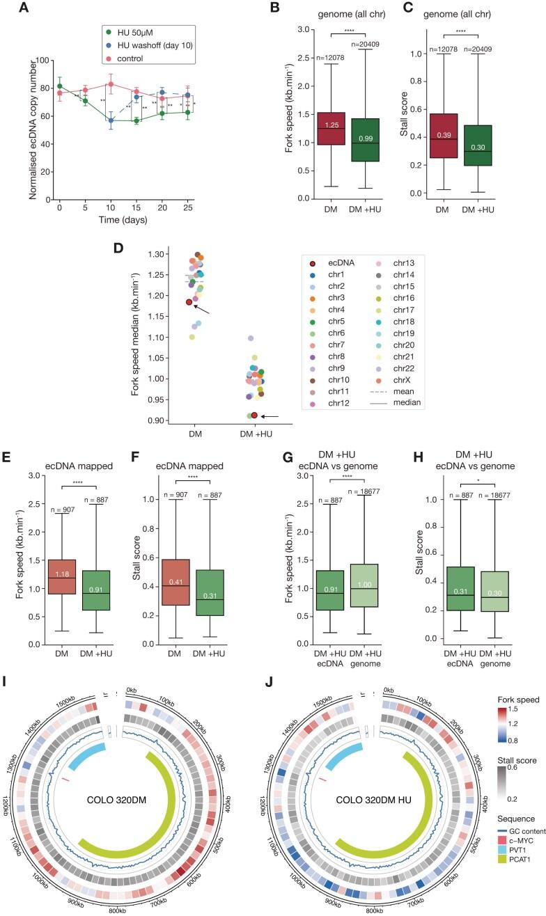 https://cdn.ncbi.nlm.nih.gov/pmc/blobs/fcc3/12311790/80a81c4f9102/gkaf711fig5.jpg