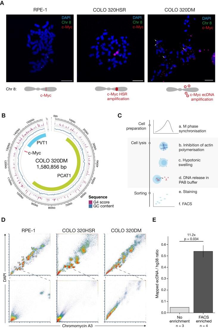 https://cdn.ncbi.nlm.nih.gov/pmc/blobs/fcc3/12311790/f7ac08819985/gkaf711fig1.jpg