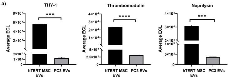 https://cdn.ncbi.nlm.nih.gov/pmc/blobs/fccb/11120263/762c4e301694/cells-13-00861-g003a.jpg