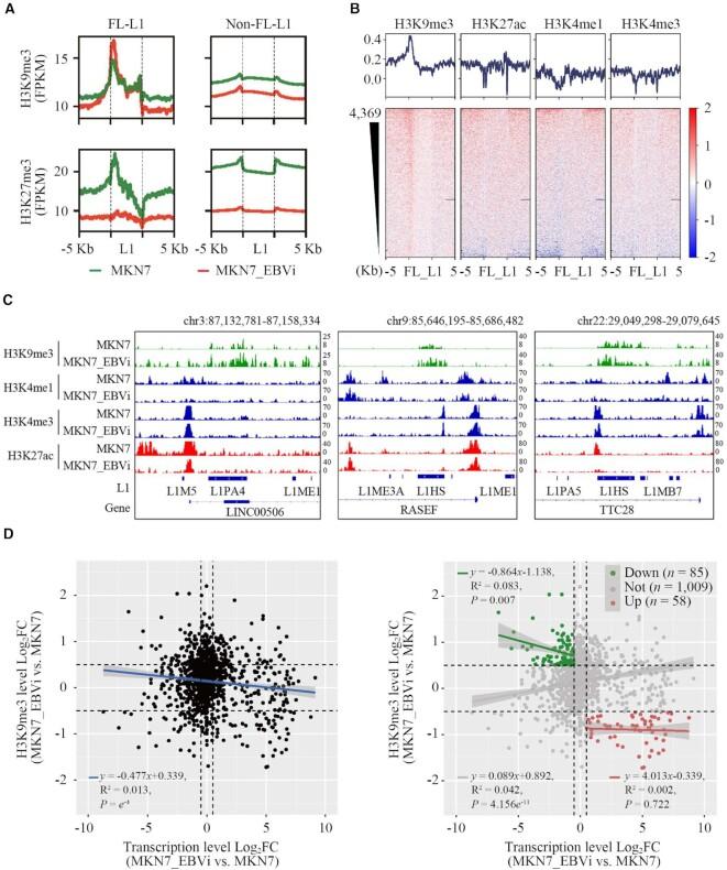 https://cdn.ncbi.nlm.nih.gov/pmc/blobs/fccc/10250212/10b88aa3ae62/gkad203fig3.jpg