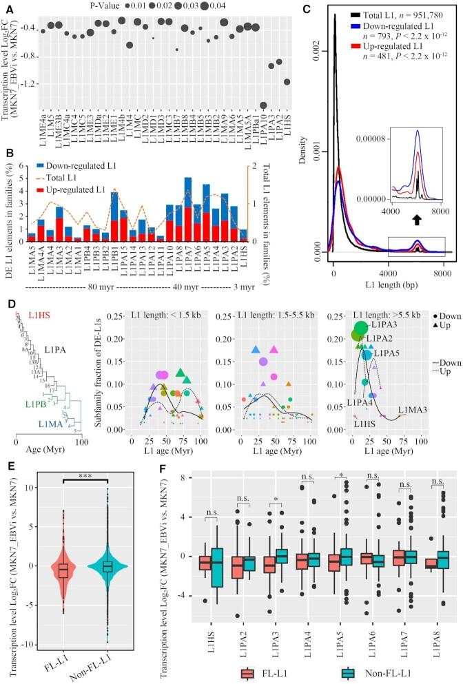 https://cdn.ncbi.nlm.nih.gov/pmc/blobs/fccc/10250212/8a06f678ff4c/gkad203fig2.jpg