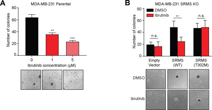 https://cdn.ncbi.nlm.nih.gov/pmc/blobs/fceb/8202955/03e829b977b8/pbio.3001281.g008.jpg