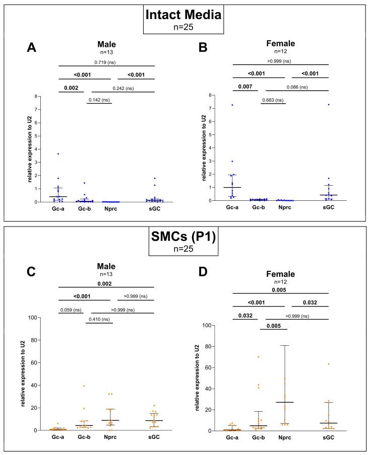 https://cdn.ncbi.nlm.nih.gov/pmc/blobs/fcfa/11720613/0433a3cc61b7/cells-14-00051-g002a.jpg
