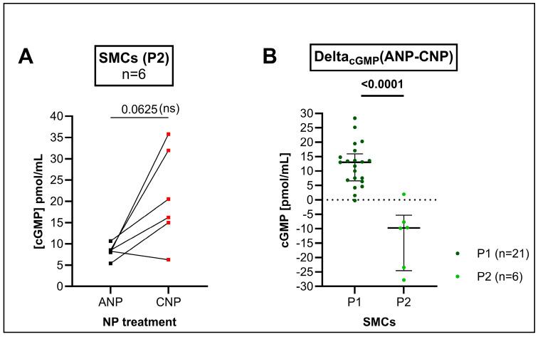 https://cdn.ncbi.nlm.nih.gov/pmc/blobs/fcfa/11720613/379b1d0fbc8d/cells-14-00051-g005.jpg
