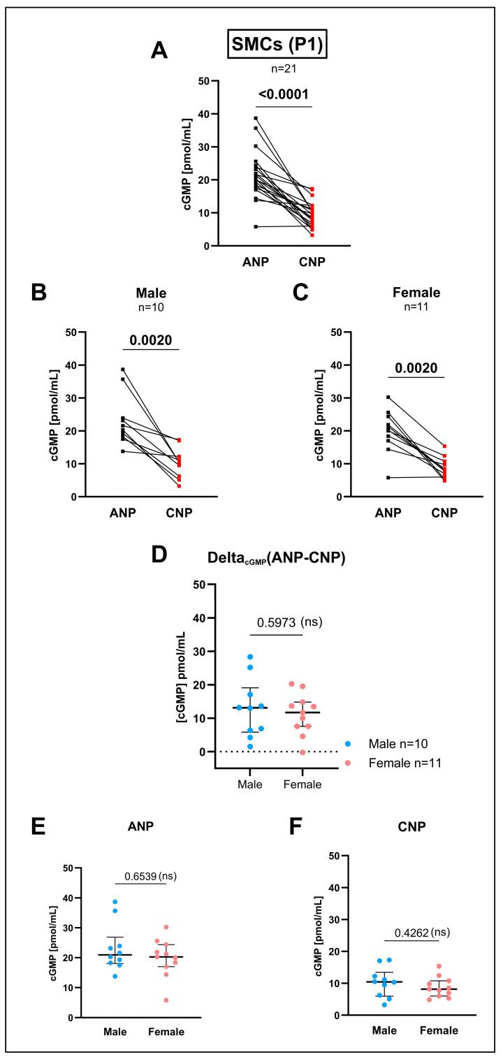 https://cdn.ncbi.nlm.nih.gov/pmc/blobs/fcfa/11720613/feeed6d992cf/cells-14-00051-g004.jpg