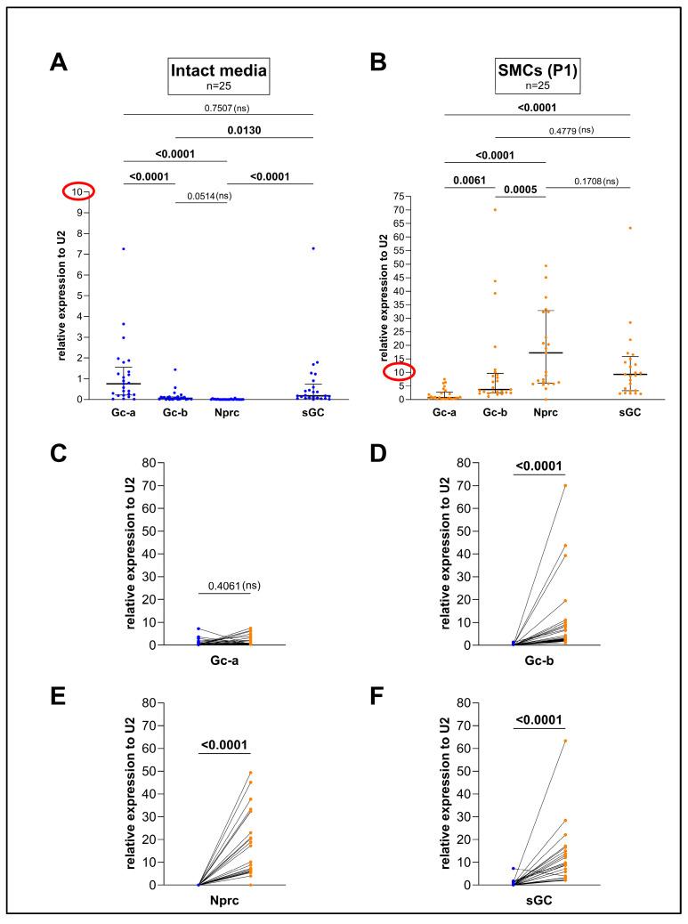 https://cdn.ncbi.nlm.nih.gov/pmc/blobs/fcfa/11720613/ff5b9f52a3da/cells-14-00051-g001.jpg