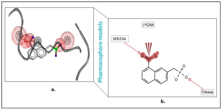 https://cdn.ncbi.nlm.nih.gov/pmc/blobs/fd08/6468864/001baf46d631/cells-08-00260-g007.jpg