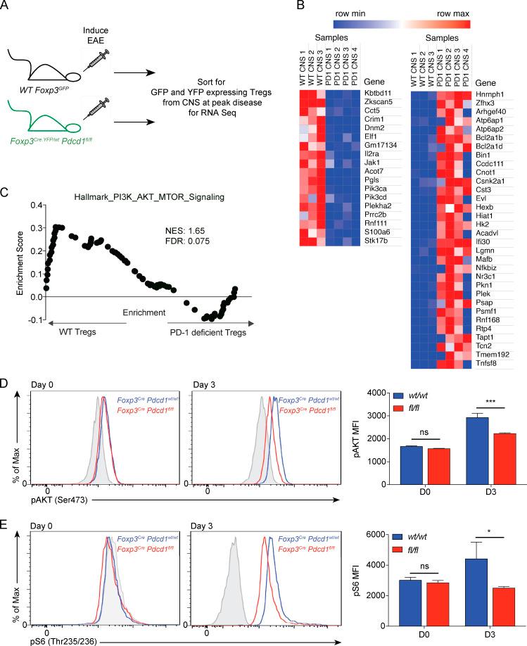 https://cdn.ncbi.nlm.nih.gov/pmc/blobs/fd0e/7543091/186d8c5b956a/JEM_20182232_Fig6.jpg