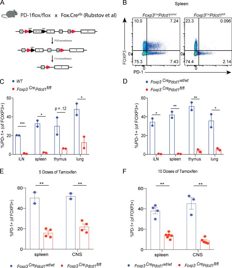 https://cdn.ncbi.nlm.nih.gov/pmc/blobs/fd0e/7543091/56461d48070f/JEM_20182232_FigS1.jpg