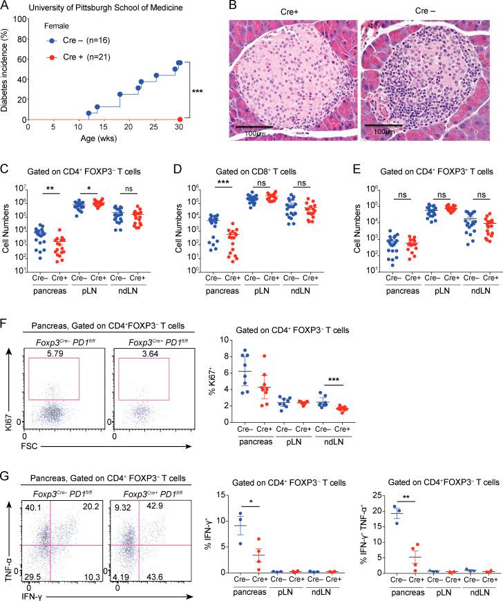 https://cdn.ncbi.nlm.nih.gov/pmc/blobs/fd0e/7543091/7ead009a5b94/JEM_20182232_FigS3.jpg
