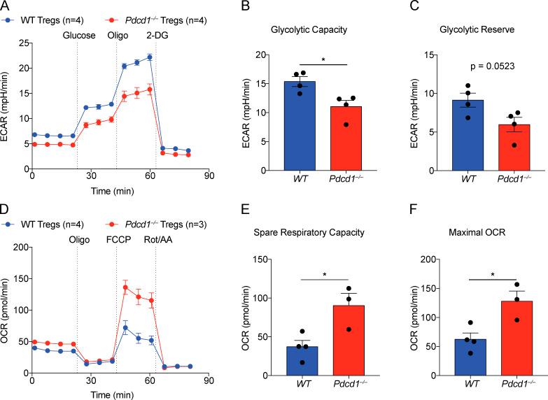 https://cdn.ncbi.nlm.nih.gov/pmc/blobs/fd0e/7543091/be7c4420f8e8/JEM_20182232_Fig7.jpg