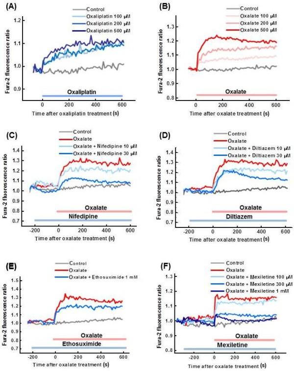 https://cdn.ncbi.nlm.nih.gov/pmc/blobs/fd12/3285049/beb2be433b8f/1744-8069-8-7-2.jpg