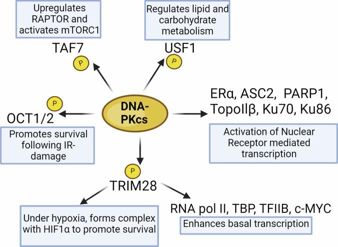 https://cdn.ncbi.nlm.nih.gov/pmc/blobs/fd1c/11266574/86c9597806d8/41698_2024_655_Fig3_HTML.jpg