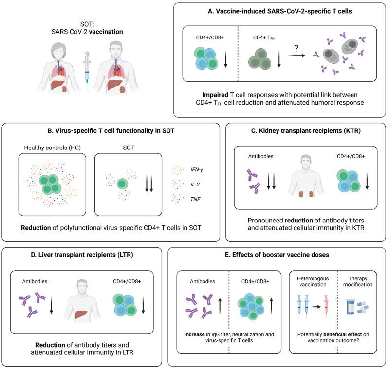 https://cdn.ncbi.nlm.nih.gov/pmc/blobs/fd33/9966413/cbbf23c17986/pathogens-12-00244-g006.jpg