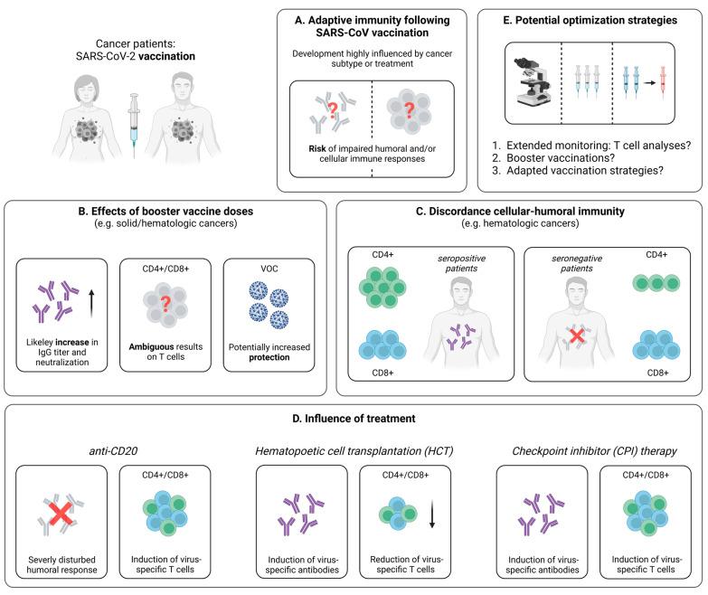 https://cdn.ncbi.nlm.nih.gov/pmc/blobs/fd33/9966413/e909787a6909/pathogens-12-00244-g002.jpg