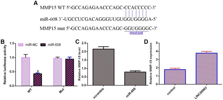 https://cdn.ncbi.nlm.nih.gov/pmc/blobs/fd37/7732318/2c0beafc33cd/aging-12-103252-g006.jpg
