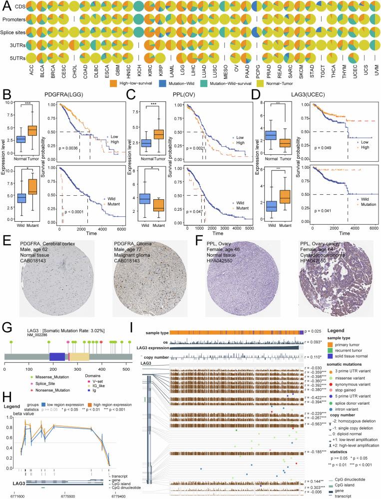 https://cdn.ncbi.nlm.nih.gov/pmc/blobs/fd3d/12335558/28b8d6d7ff0e/41698_2025_1060_Fig3_HTML.jpg