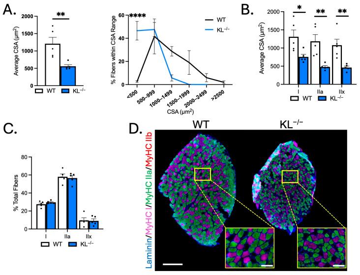 https://cdn.ncbi.nlm.nih.gov/pmc/blobs/fd5d/12386194/5dcf73246528/ijms-26-07986-g003.jpg