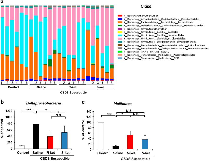 https://cdn.ncbi.nlm.nih.gov/pmc/blobs/fd61/5802627/005abe04b388/41398_2017_31_Fig4_HTML.jpg