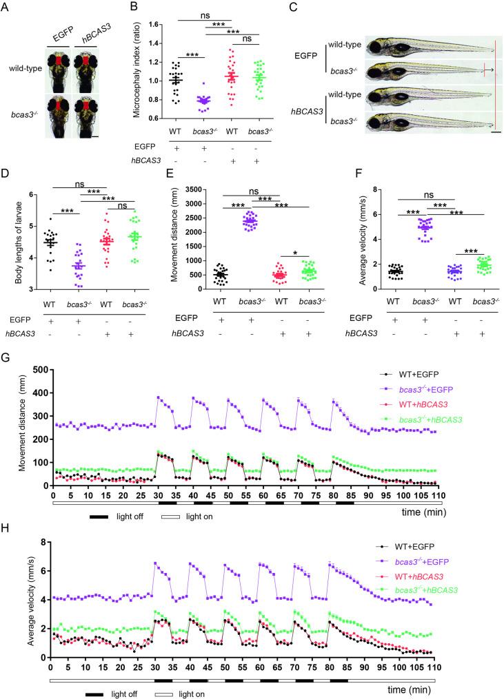 https://cdn.ncbi.nlm.nih.gov/pmc/blobs/fd80/12142951/393017cca961/40659_2025_615_Fig4_HTML.jpg