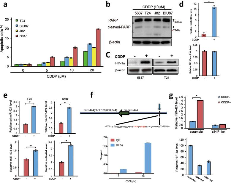 https://cdn.ncbi.nlm.nih.gov/pmc/blobs/fdc8/7285474/b3b830c1bd49/13046_2020_1613_Fig1_HTML.jpg