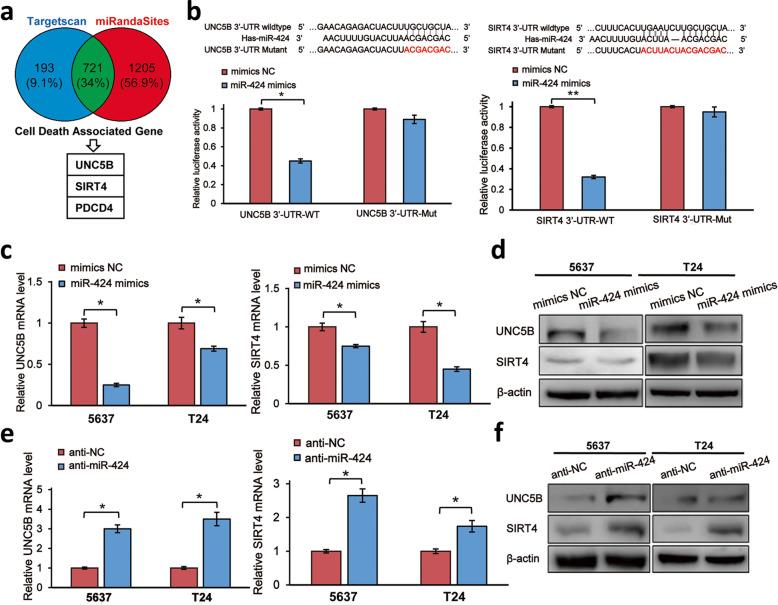 https://cdn.ncbi.nlm.nih.gov/pmc/blobs/fdc8/7285474/fe6ffb0d1729/13046_2020_1613_Fig3_HTML.jpg