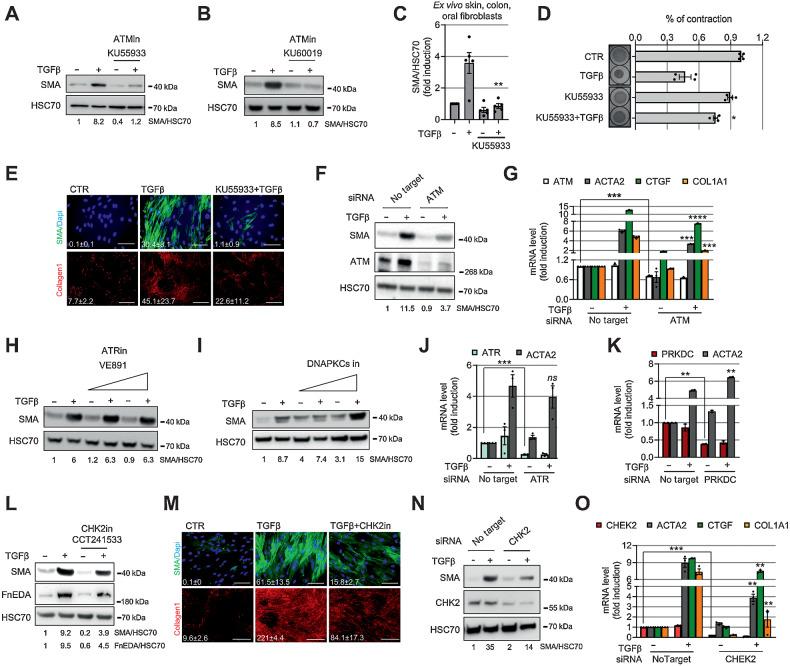 https://cdn.ncbi.nlm.nih.gov/pmc/blobs/fdd4/9755965/fdf2be48118c/4571fig2.jpg
