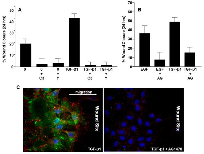 https://cdn.ncbi.nlm.nih.gov/pmc/blobs/fdda/6723262/c6d3d1d5c263/biomolecules-09-00341-g003.jpg
