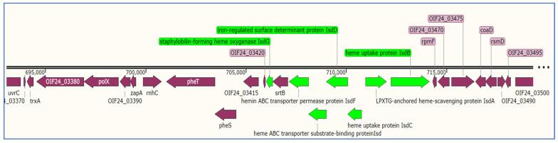 https://cdn.ncbi.nlm.nih.gov/pmc/blobs/fddb/10221271/488a9af2f76a/microorganisms-11-01124-g003.jpg