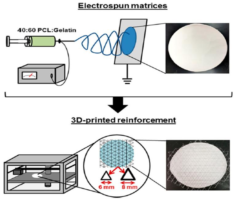 https://cdn.ncbi.nlm.nih.gov/pmc/blobs/fdde/8402158/32a86fd07054/membranes-11-00557-g017.jpg