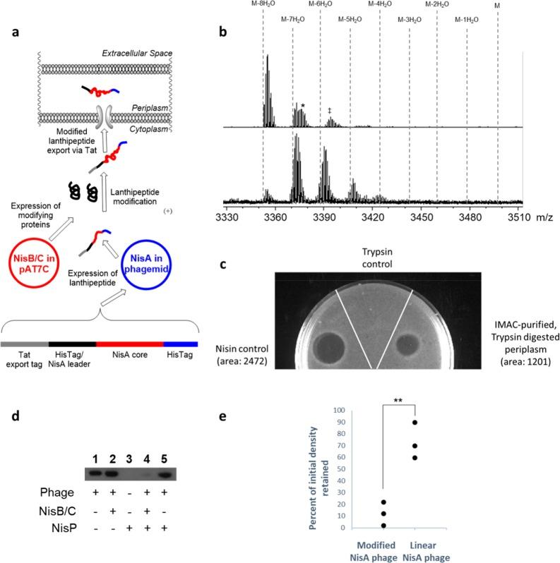 https://cdn.ncbi.nlm.nih.gov/pmc/blobs/fe02/5920614/dedf979a13c8/oc-2017-005814_0005.jpg