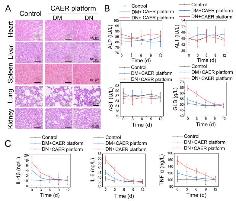 https://cdn.ncbi.nlm.nih.gov/pmc/blobs/fe2b/9612375/4d6e20eab137/nanomaterials-12-03556-g006.jpg