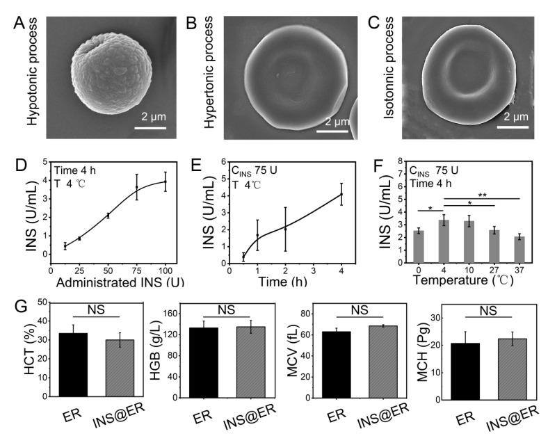 https://cdn.ncbi.nlm.nih.gov/pmc/blobs/fe2b/9612375/6ee0c31d0f99/nanomaterials-12-03556-g001.jpg