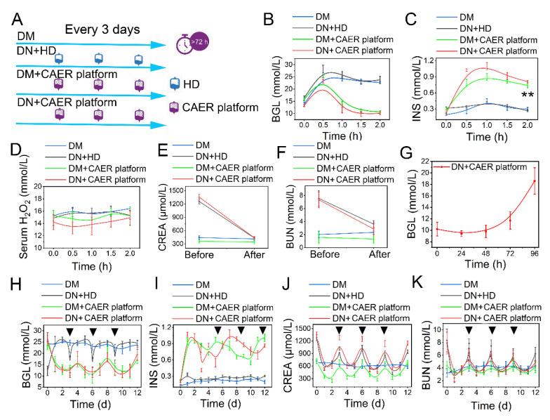 https://cdn.ncbi.nlm.nih.gov/pmc/blobs/fe2b/9612375/dd252b91d842/nanomaterials-12-03556-g005.jpg