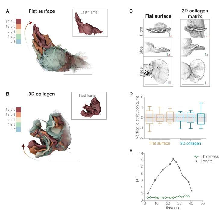 https://cdn.ncbi.nlm.nih.gov/pmc/blobs/fe3b/5614560/a15e8ad17719/elife-26990-fig2.jpg