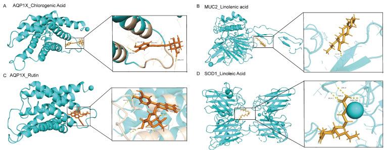 https://cdn.ncbi.nlm.nih.gov/pmc/blobs/fe3d/11051911/0e1559adaa9a/molecules-29-01713-g008.jpg